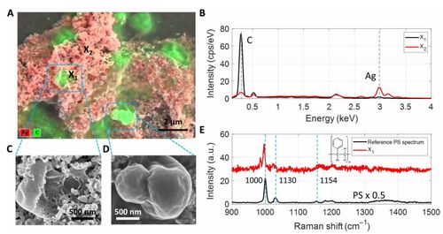 科學家研發氣泡沉積技術，首次揭示海水中納米塑料的形態