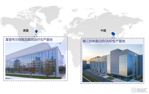 金斯瑞生物科技 營收大增81.9%，經調凈利增速超5倍，展現卓越盈利韌性